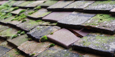 Stow Longa roof repair costs